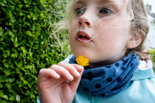 5 Year Old Blond Girl Playing With A Buttercup Flower