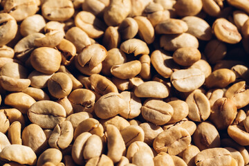 Coffee beans dried in the sun. Coffee bean drying. Coffee beans are drying at coffee farm