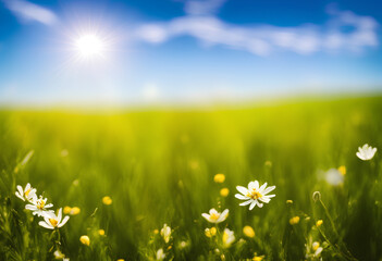 Beautiful white flowers, spring time, field with green grass and sunny blue sky. Created with Generative AI