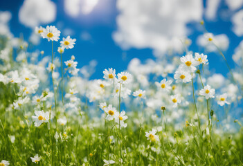 Beautiful white flowers, spring time, field with green grass and sunny blue sky. Created with Generative AI