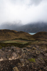 Misty morning in Torres del Paine National Park