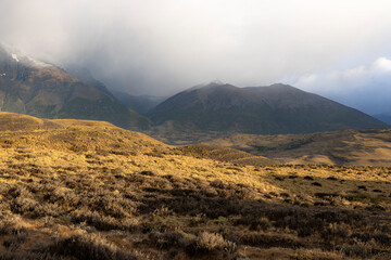 Misty morning in Torres del Paine National Park, Chile, South America