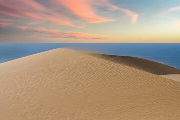 Namibia, the Namib desert, landscape of yellow dunes falling into the sea, the wind blowing on the sand
