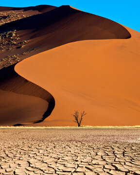 Sand dune in the Namib Desert near Sossusvlei in Namibia, Africa.