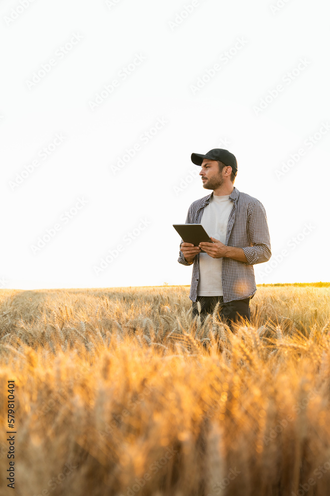 Poster farmer examines the field of cereals and sends data to the cloud from the tablet. smart farming and 