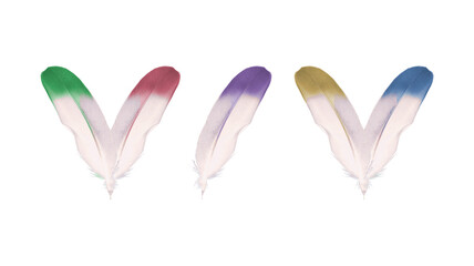 Coloured feathers