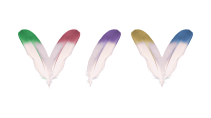 Coloured feathers