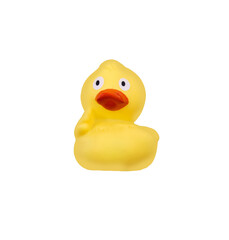 rubber duck isolated 