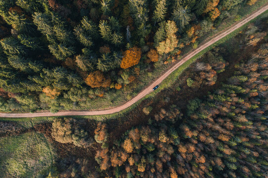 Aerial view of winding gravel road and colourful forest in autumn in Vorumaa, Estonia.