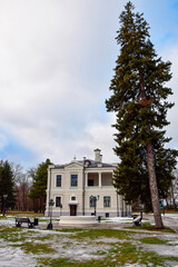 a huge fir tree in the park of an old manor