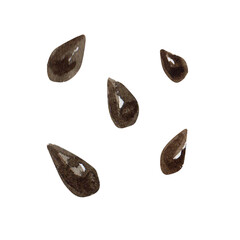 Watercolor watermelon or sunflower hand drawn seeds isolated on white background