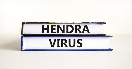 Hendra virus symbol. Concept words Hendra virus on books. Beautiful white table white background. Medical hendra virus concept. Copy space.