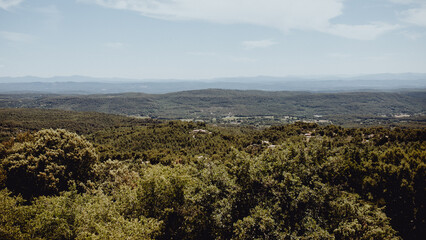L'immensité des espaces verts