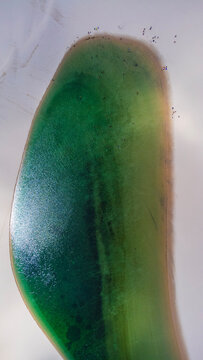 Len&ccedil;&oacute;is Maranhenses Lagoas Dunas Praia Paisagem Barreirinhas Atins Planeta Vilarejo Star Wars Vingadores Prote&ccedil;&atilde;o Ambiental Cen&aacute;rio Tropical Paradis&iacute;aco Para&iacute;so Natureza A&eacute;reo Drone Turismo Tur&iacute;stico