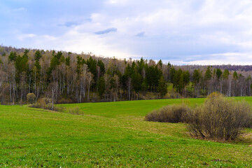 South Ural forest with a unique landscape, vegetation and diversity of nature.