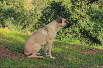 Fototapete bei efototapeten.de bestellen   