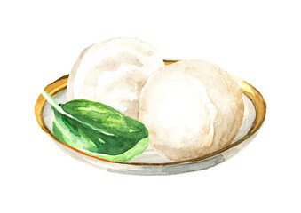 Mozzarella soft cheese. Hand drawn watercolor  illustration,  isolated on white background