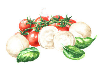 Mozzarella soft cheese. Hand drawn watercolor illustration  isolated on white background