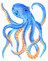 Watercolor cute blue octopus isolated on white background. Hand painting sea animals illustration.