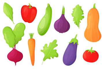 Сolorful vegetables. Peppers, tomatoes, carrots, onion, pumpkin, beetroot, eggplant, zucchini, salad leaves. Great visual for designs for healthy eating, vegan diets, cooking, and food preparation.