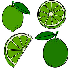 Set of four lime fruits - PNG
