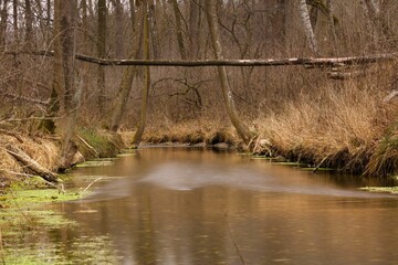 Baumbr&uuml;cke &uuml;ber Fluss