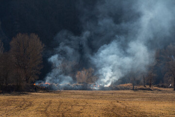 Fototapeta na wymiar Agricultural fire in a field, Digne les Bains, Alpes de Haute Provence, France.