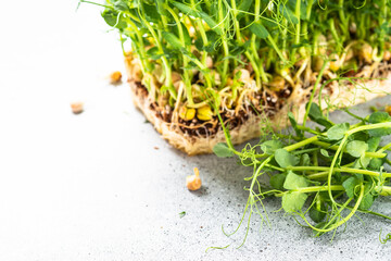 Green pea microgreens. Healthy dietary food. Close up.