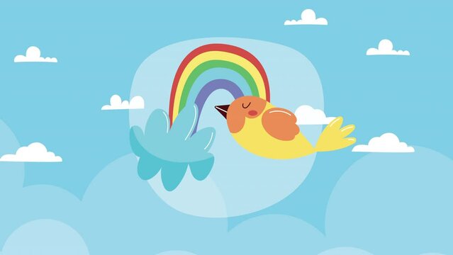 rainbow and clouds and bird animation