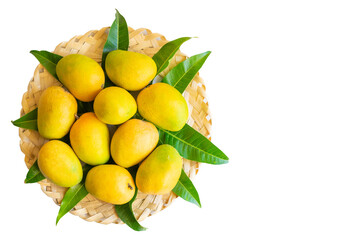 Mangoes of alphonso cultivar fully ripen with yellow orange colors placed on the wooden bamboo weave with mango leaves in circular arrangement and used differential focus in white background.