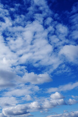 A blue sky filled with fluffy clouds moved by the wind. Vector cotton texture background