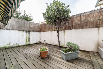 Terraced courtyard of a ground floor apartment with some plants and unvarnished acacia wood floors, a swimming pool, a small tree and a wall with some verdin