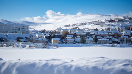 Bright and sunny winter day