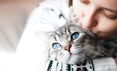 Woman at home holding her lovely  fluffy cat. Gray tabby cute kitten. Pets and lifestyle concept....
