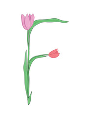 Letter F of English alphabet from tulip flowers, floral font for spring Mother's Day design