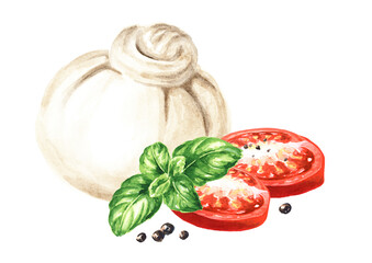 Burrata italian soft cheese with tomatoes and basil,. Hand drawn watercolor illustration  isolated on white background