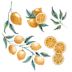Desenho de limão siciliano em aquarela