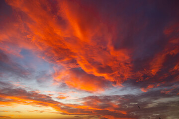 Fototapeta na wymiar Cloudscape at sunset. Orange clouds at sunset or sunrise