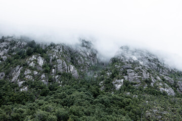 Landscape between Caleta Yungay and Tortel - traveling the Carretera Austral at the end of summer - Patagonia, Chile