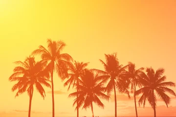 Fotobehang Geel Palm trees on a golden sunset sky