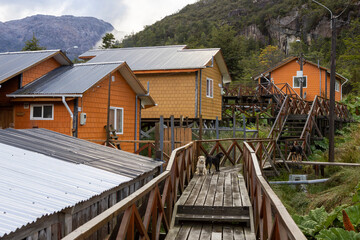 Small colorful houses and nalca plants along the wooden paths of Tortel, Patagonia, Chile