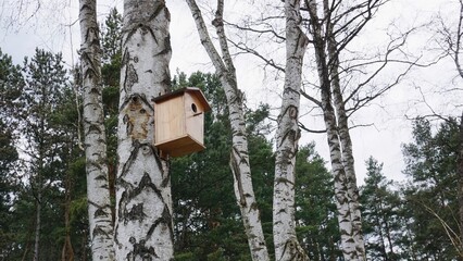 bird house on tree