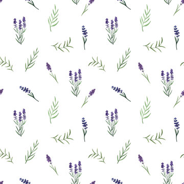 Provence lavender flowers and leaves seamless pattern. Hand drawn summer watercolor