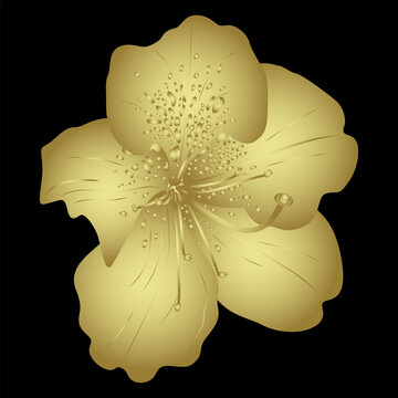 recommend clip art: Single flower of azalea or rhododendron. Floral blossom. Golden glossy silhouette on black background.