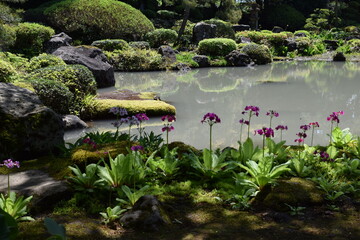 日本庭園
