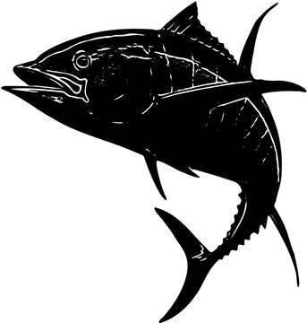 recommend clip art: shark vector illustration