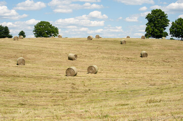 Hay bales in a scenic landscape