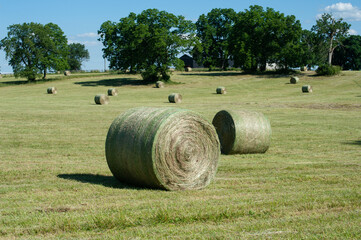 Hay bales on a rural farm