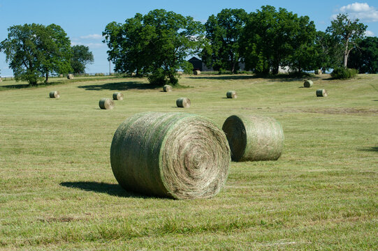 Hay bales on a rural farm