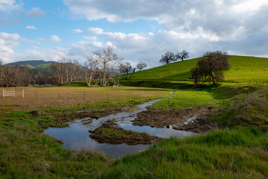Dry Creek Preserve, Lemon Cove, San Joaquin Valley, California